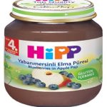 پوره سیب و انگور سیاه هیپhipp