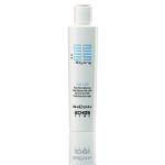 روغن مو ( ضد وز ) اچ اس لاین
                                        (Echosline Anti-Frizz (OIL NON OIL