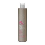 شامپو موهای خاکستری ایوا پروفشنال
                                        EVA Professional Grey Shampoo 300ml