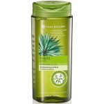 شامپو موهای چرب ایوروشه
                                        Yves Rocher Purity Purifying Shampoo
